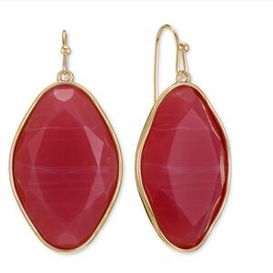 NWT Style & Co Stone Drop Earrings